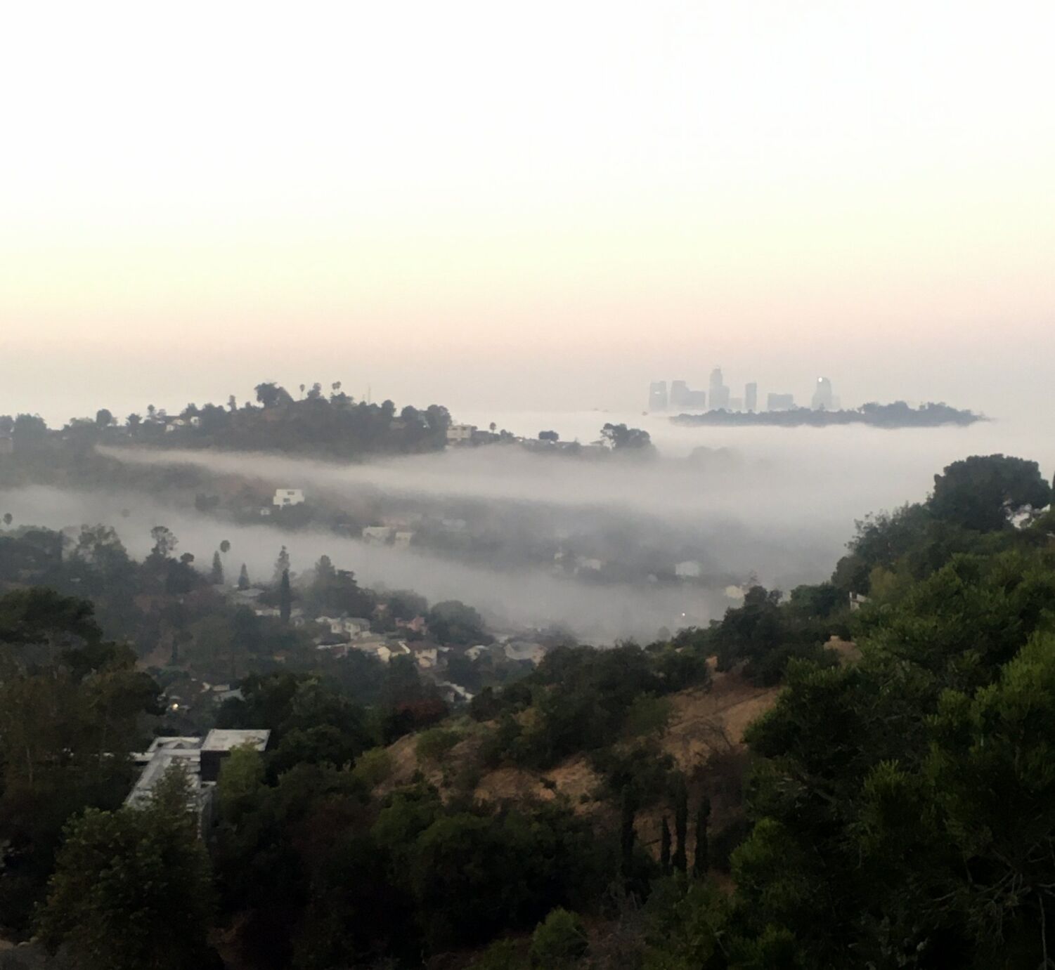 Above the morning fog